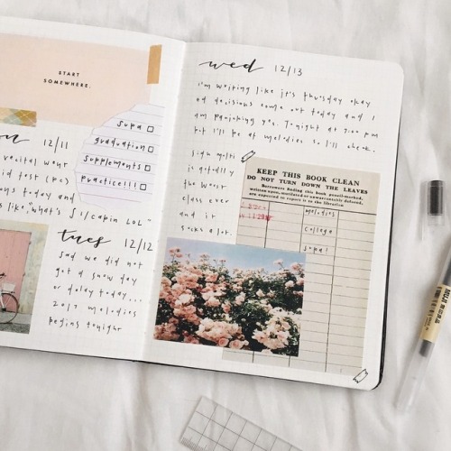 samstudies61:  pink theme!!