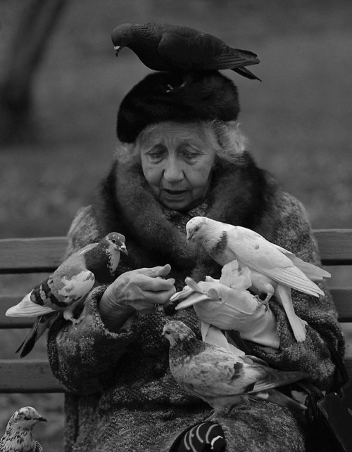 last-picture-show:Halnor Mank, Bird Lady of Central Park