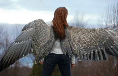 jess-curious:sushinfood:zoomine:“The Name’s Max, Maximum Ride”Via ( IAmEmilyK )this is s