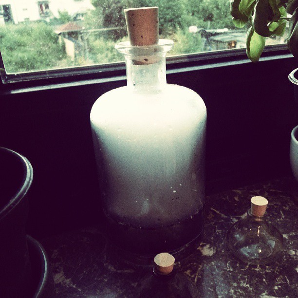 ego-x:  Fog caught in a bottle. 