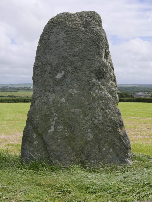 Llanfaethlu or Capel Soar Standing Stone, Anglesey, North Wales, 30.7.17. A solitary but massive sta