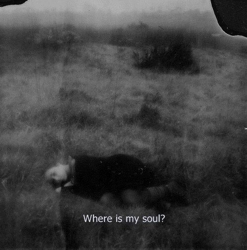 Hidden life