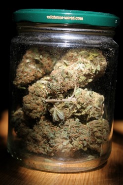 trichome-world:  420 MIX Drieds… medical