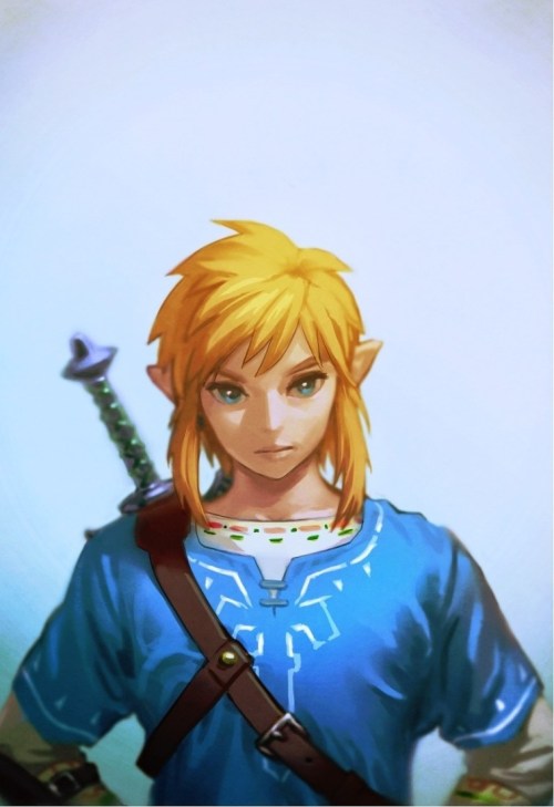 Breath Of The Wild Champions By UG
