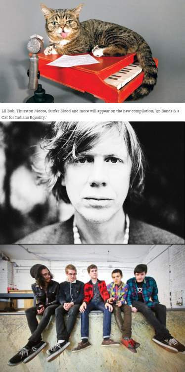 LIL BUB, THURSTON MOORE, SURFER BLOOD &amp; MORE TEAM UP FOR LGBTQIA+ RIGHTS!Lil Bub Recruits Thurst