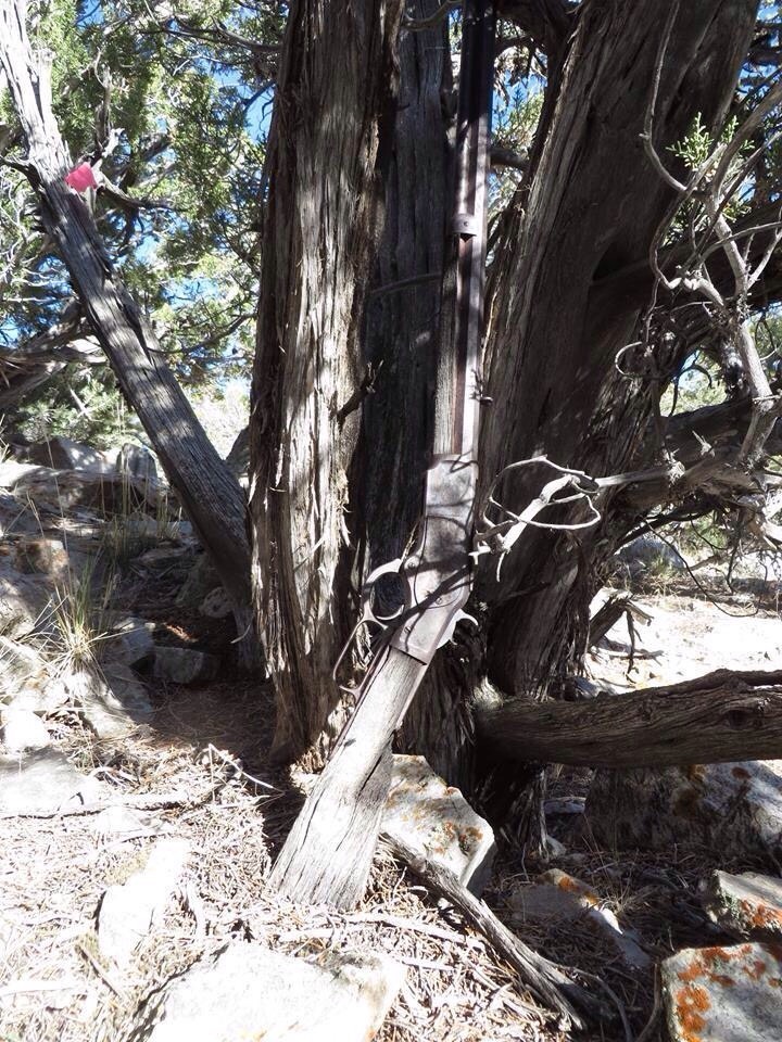 rtrixie:  boss-of-the-plains:  stunningpicture:  132 year old Winchester rifle found