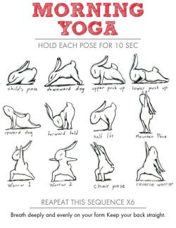 Thepillowfortuk:  Morning Yoga With Bunnies!