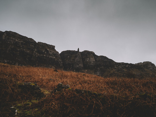 Winter woodland tones on the Isle of Eigg, Scotland