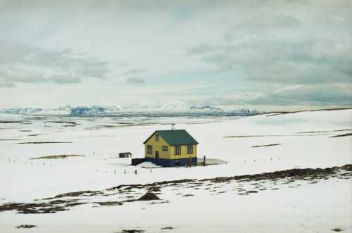 Photo By Kristina Petrosiute