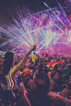 rave-republic:  Ultra Music Festival 2014 | Calder Wilson