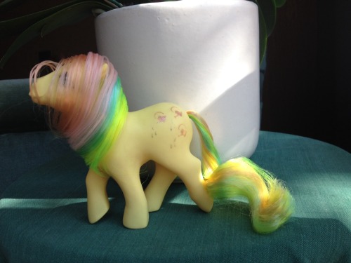 New to the herd: Trickles!I have come to realise that this is my favourite pose for earth ponies! Tr