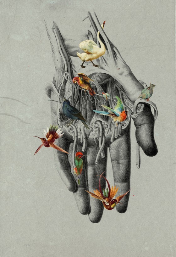 pixography:  Michele Parliament
