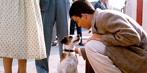 holden-caulfieldlings: I was an only child. He was an only dog.My Dog Skip (2000)