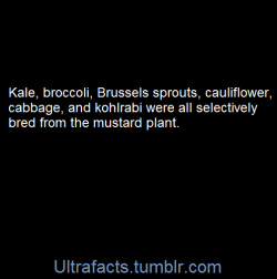 ultrafacts:  SourceFor more facts, follow