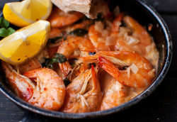 in-my-mouth:  Shrimp in White Wine Sauce