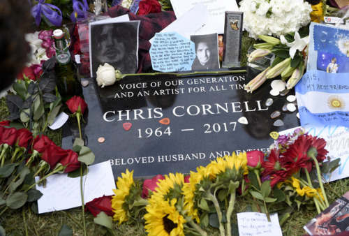 Vicky Cornell Announces Public Vigil for Late Husband Chris Cornell