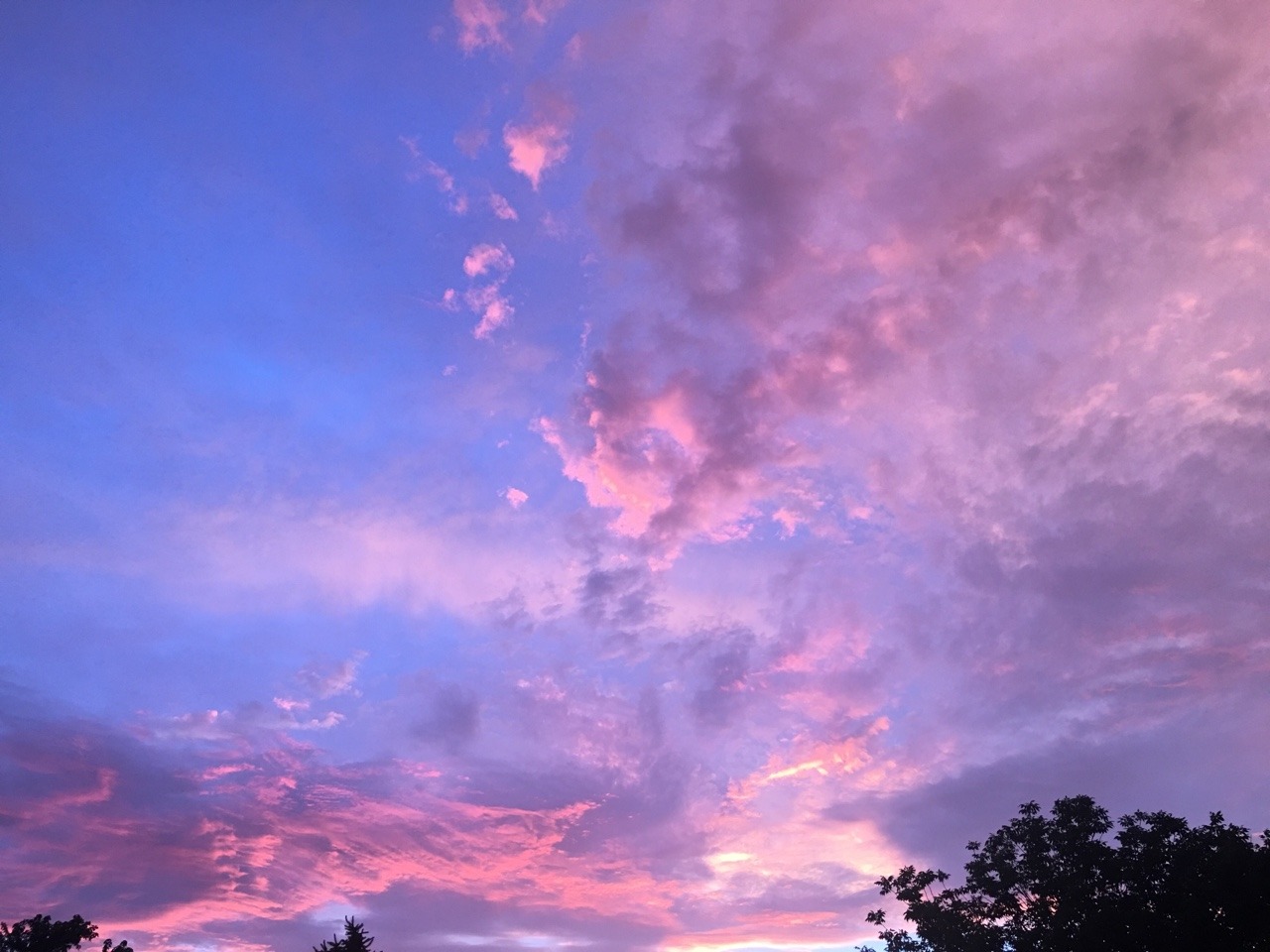cardinalofsin:    Beautiful morning You’re the sun in my morning babe Nothing unwanted