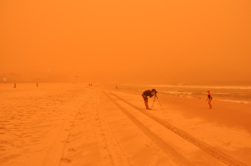 excdus:  Dust Storm over Sydney Duncan Wallace 