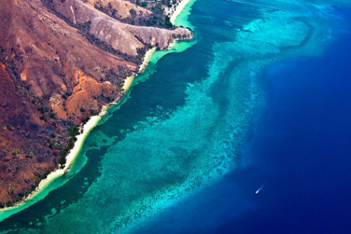 Dragon Watching: Exploring Komodo Island