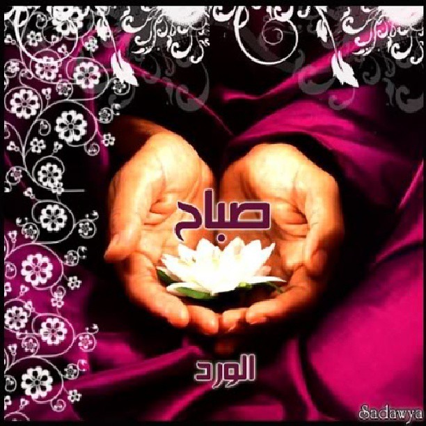 Untitled صباح الخير سوريا
