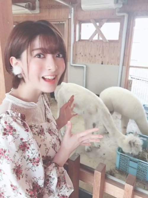 菅原りこさんのツイート: それからね、、 すぐそばにある『動物ふれあいセンター』さんにお邪魔してこんなにもカワイイ動物にも会ってきました〜っ t.co/1GUc2zrBB6