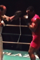 wujifighter:   A collection of my favorite Mike Tyson training gifs 