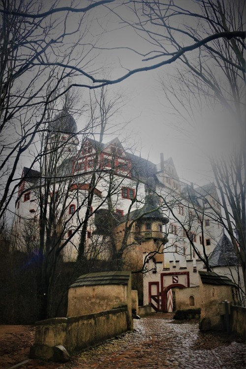 rochsburg castle.