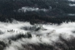 andrewtkearns:  Fog in the valley 