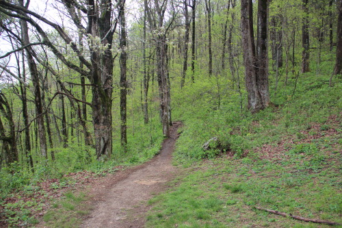 Appalachian Trail, Woody Gap, Georgia