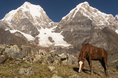 Cordillera de HuayhuashPerúJunio 2019instagram / vsco / tumblr   (More from Huayhuash)