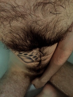 pizzaotter:  The contrast between wet fur and dry fur always gets me.  So yeah, Wet Wednesday!