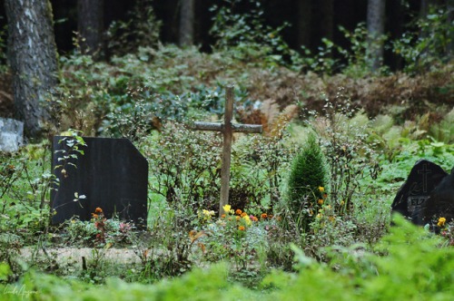 lindadigsgraves: Traditional Latvian forest cemetery in Kubesele.
