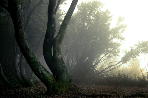 Mt.Oike / Mie Prefecture by Seiuchi F