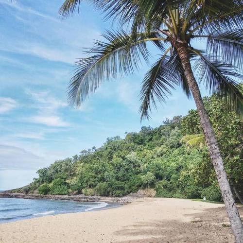 Forest meets the ocean.(at Trinity Beach, Queensland, Australia)