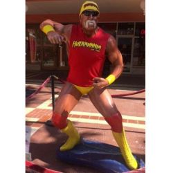 What'cha gonna do when #hulkhogan runs wild