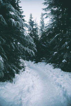 hannahkemp:  Winter in Washington.  Prints//Instagram