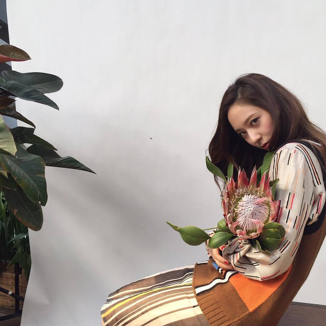krystalxox:    160414 Krystalâ€™s instagram | vousmevoyez    