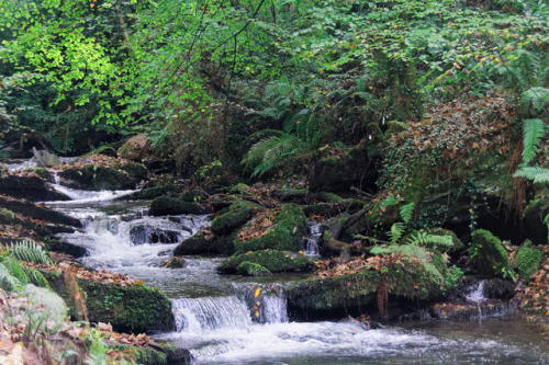 St Nectan’s Glen by Austin lovelock