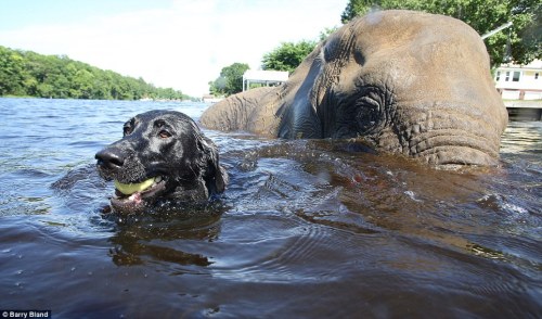 Porn photo mrssrobinson:  Bubbles, a 32 year old African