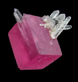 mineralists:  Rhodochrosite with Quartz from