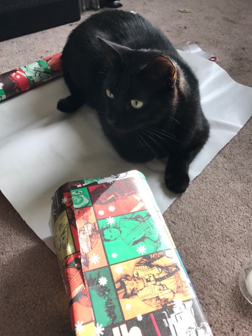 Othello wrapping presents(submitted by @chirrutlmwe)