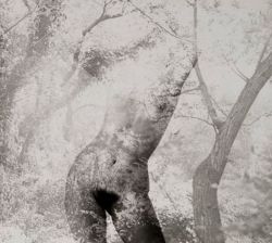 topcat77:  Robert Heinecken. Figure in trees