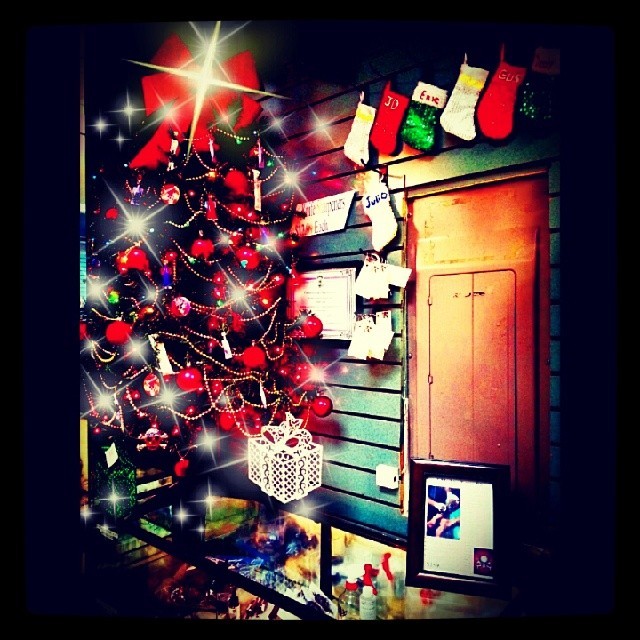 The shop&rsquo;s Christmas tree is up! #Christmas #Tree #holiday