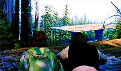 maggiesawyver:gif meme: @ginnyebaker asked star wars + favourite romantic relationship↳ leia organa 