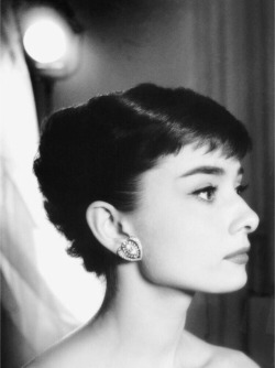 avintagegirlatheart:  Audrey Hepburn, 1953.