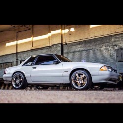 musclefords:  @igfords #ford#Mustang#SVT tag-&gt; #american_muscle_mustangs some me some #foxbody / owner ? /repost from #foxbody_mustangs