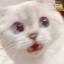 hanssol