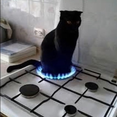 evilcatladyfromhell - Welcome To Hell