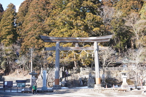 戸隠神社、奥社は雪深く行けませんでした…。美味しいお蕎麦食べて日光浴。2020.3