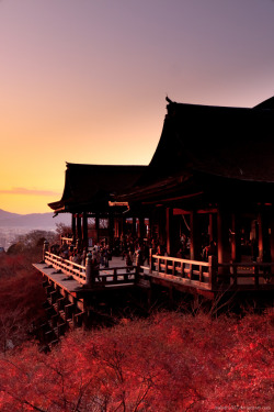 touchdisky:  Kiyomizudera Temple, Japan by imladris517